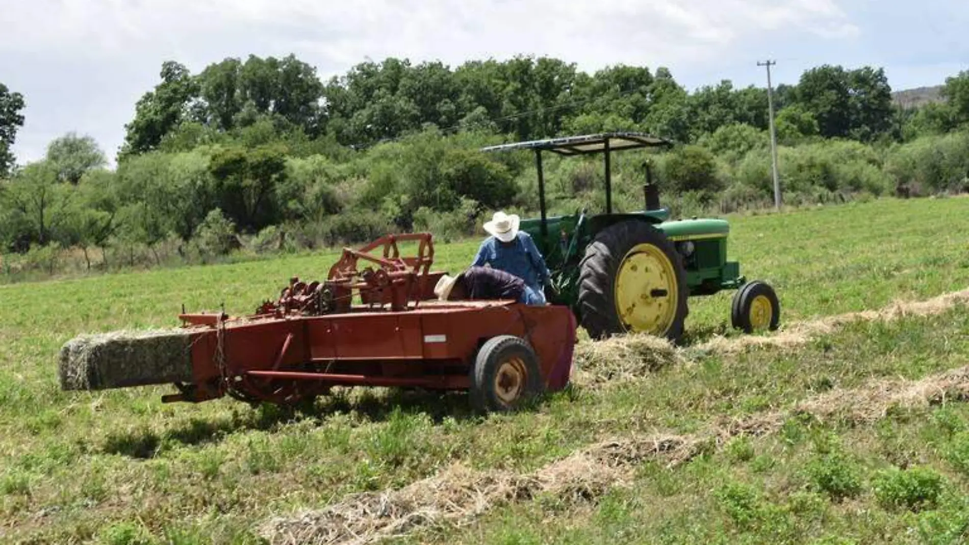 CAMPO 1 FOTO JAVIER CRUZ